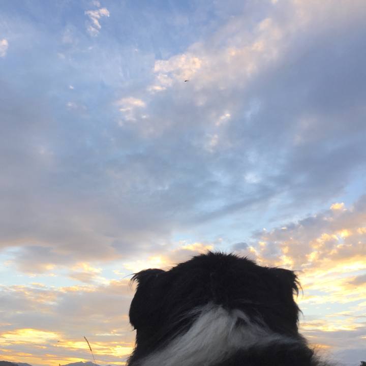 6d2d8500 aee7 4390 ad06 9286b0f6126a 1534367483421