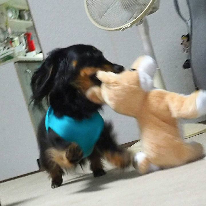 6d2d9335 7cc7 472a a836 c12209f54cd4 1527745180715