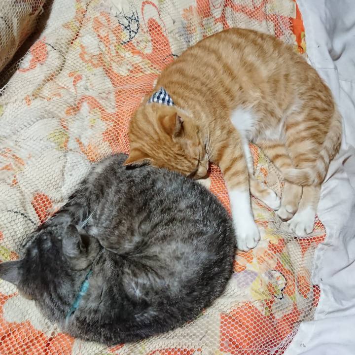 6d2d9676 df93 4164 935e d3e0cfa03f15 1569505525638