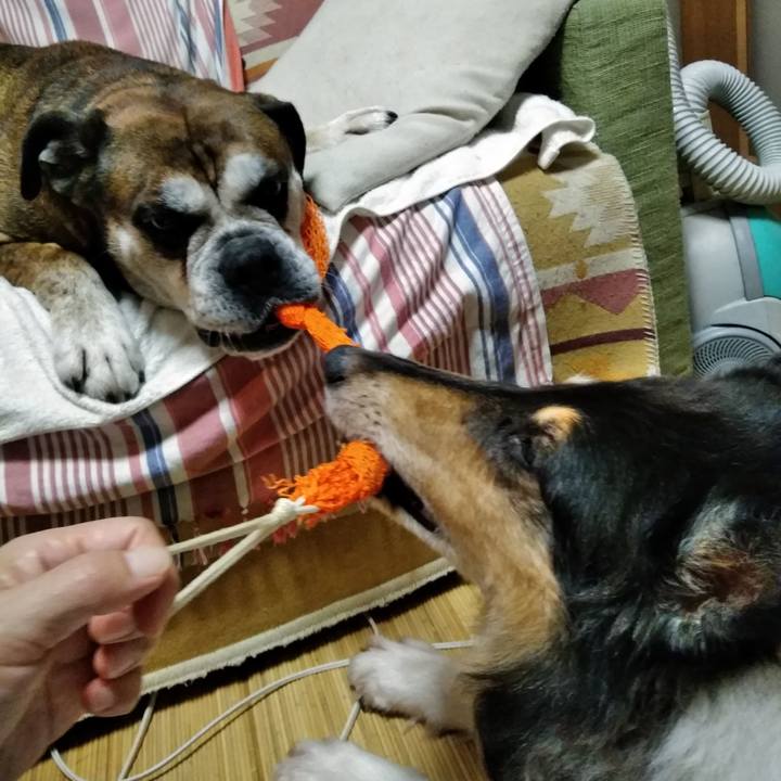 6d2d9ca2 a8ad 46c5 b1f9 be0d49ba9ee5 1536761193158