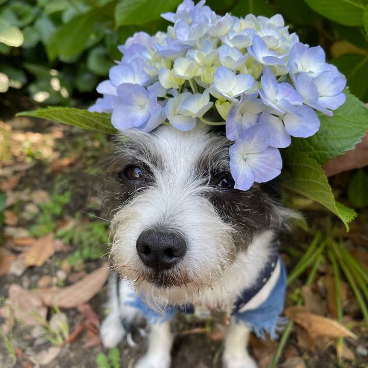 6d2da0e8 39d1 412d a4bc 6e86ad4f0184 1685001468412