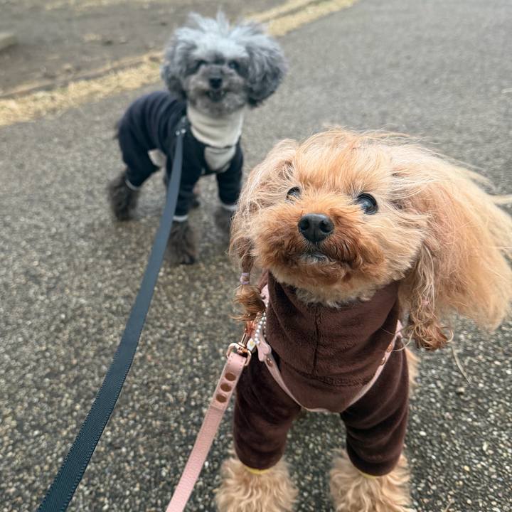 6d2da5b3 93a3 40b0 b237 cd30995b2d58 1770851529978