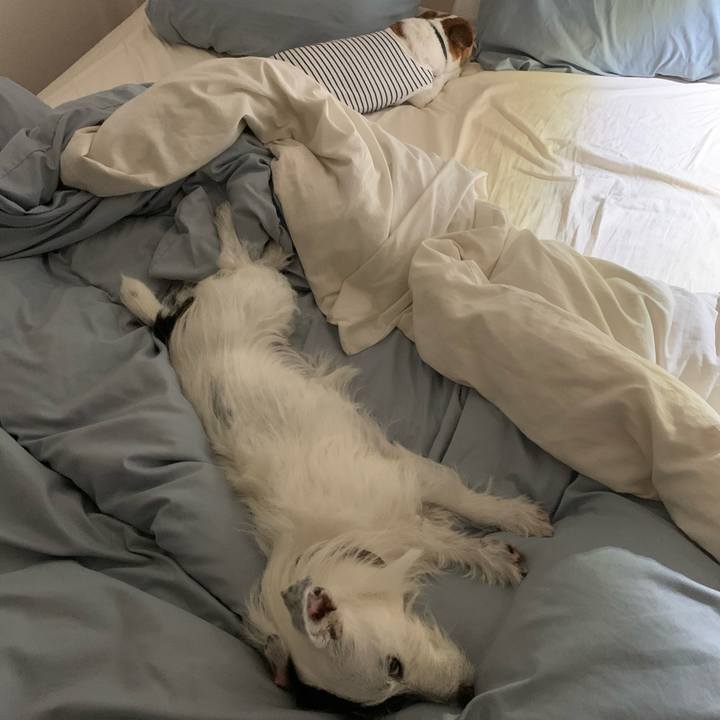 6d2df82c 184f 495e ae97 83ae52d4c287 1598537169311