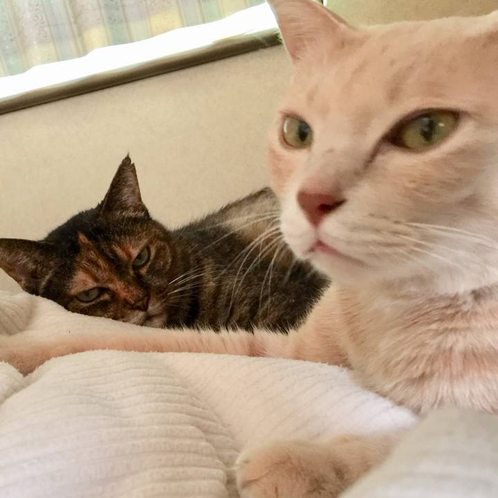 6d2df9ff c0c1 4ccd a08b 9abe873c36d8 1573582804300