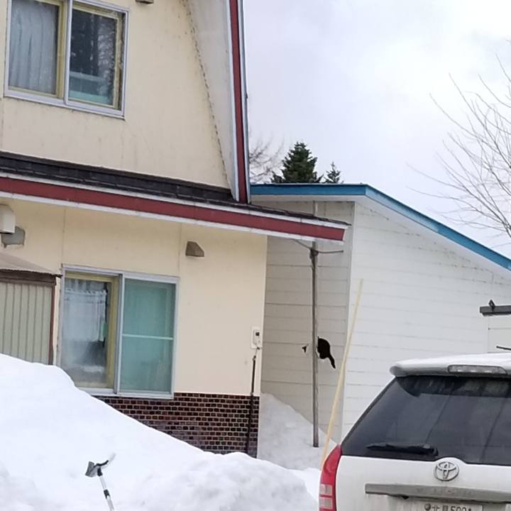 6d2dfaba 24d9 472d 821b 3dada617ff19 1616373212194