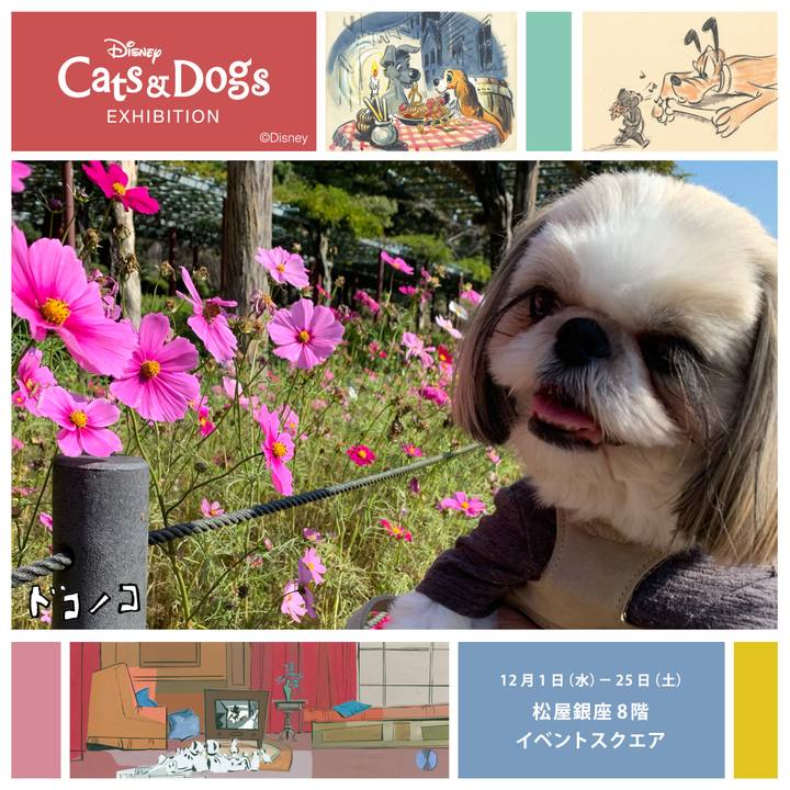 6d2dfc27 04af 4a3d a402 453daa3dfd4c 1638328488262