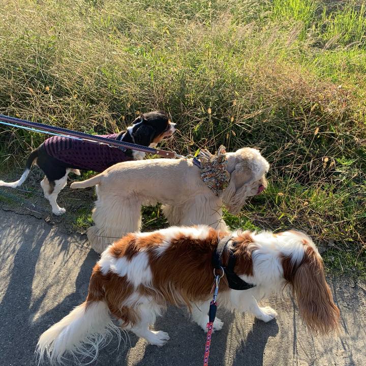 6d2e1d4b 6b8b 4d2b 8cf6 dc78a79633b0 1603334714764