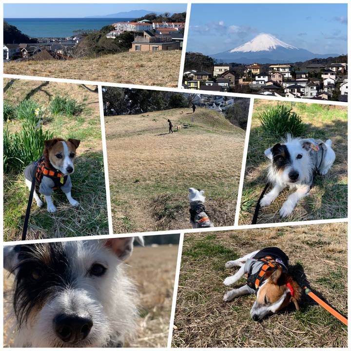 6d2e363b c0bf 40d9 991e 5feed6cb5b96 1581990358961