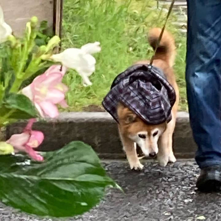 6d2e6050 43dc 4b3f aaef 6df5c96b6835 1683450162219