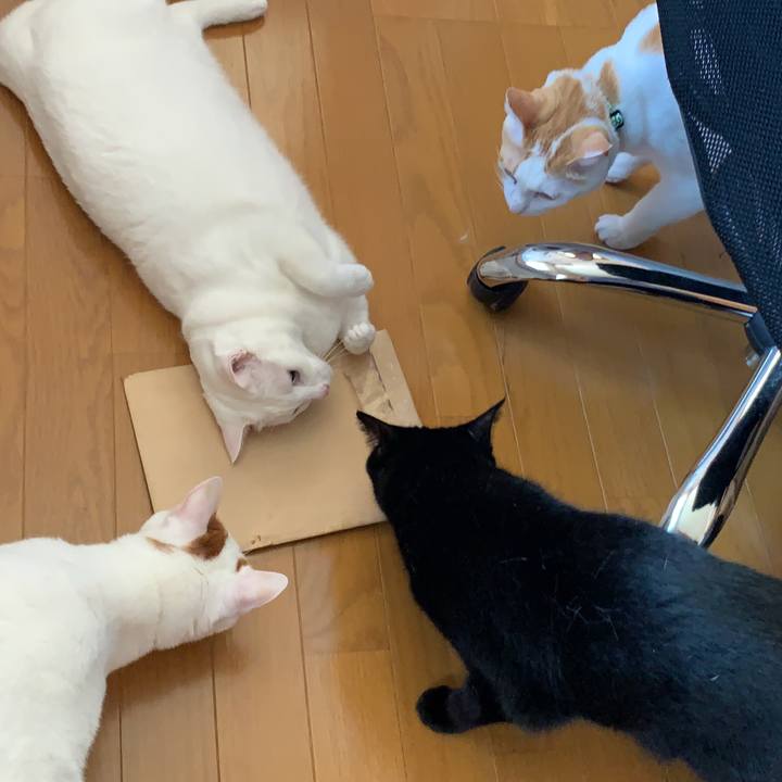 6d2e79c6 d86b 4a4b 8ce1 824e39b078c4 1572788399312