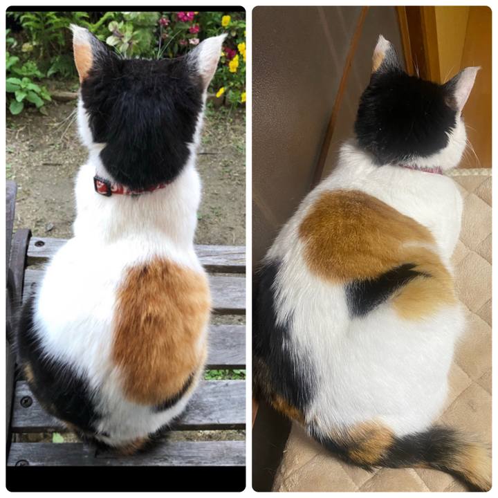 6d2ea42c 5f65 48a0 8f74 06d554e90c54 1650617063886