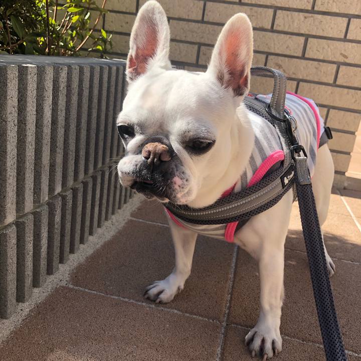 6d2ec82e 8fb4 45b5 b5f6 23e33bfc0510 1645961824400