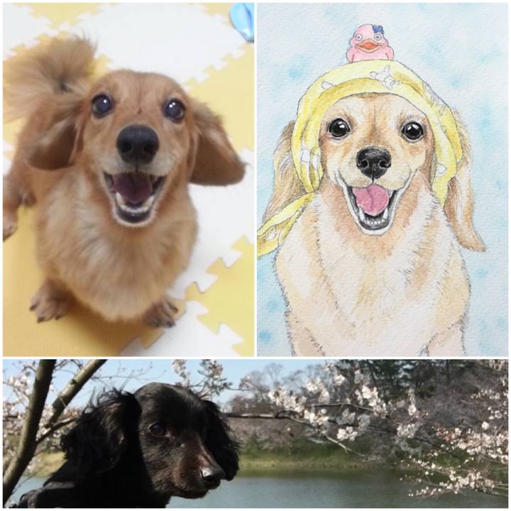 6d2efedd 094b 4523 94bb 2eb67ad58f3e 1685756405794