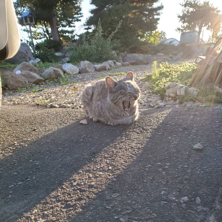 6d2f244d 1a83 4344 9fe1 04906a33ae89 1697126731603