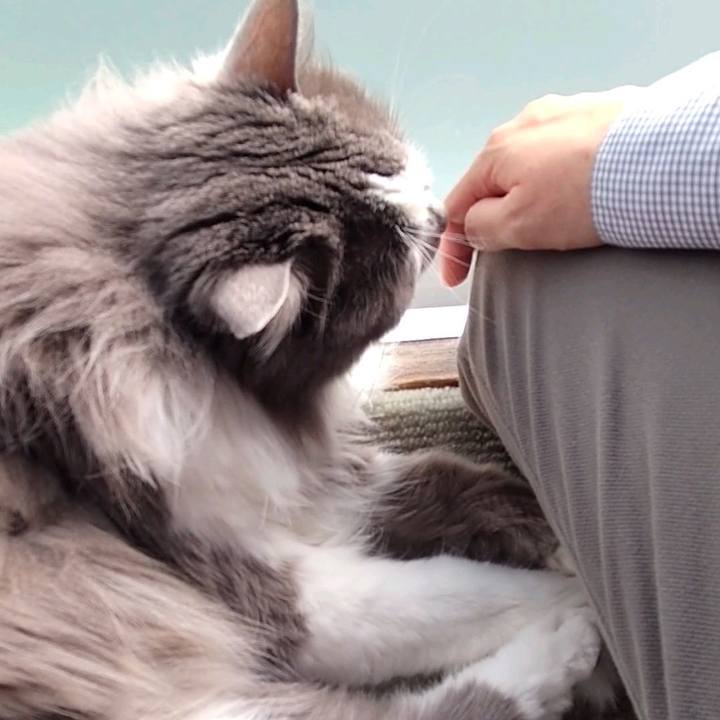 6d2f24ea ef29 416e 94de e44412d3d5eb 1651729264115