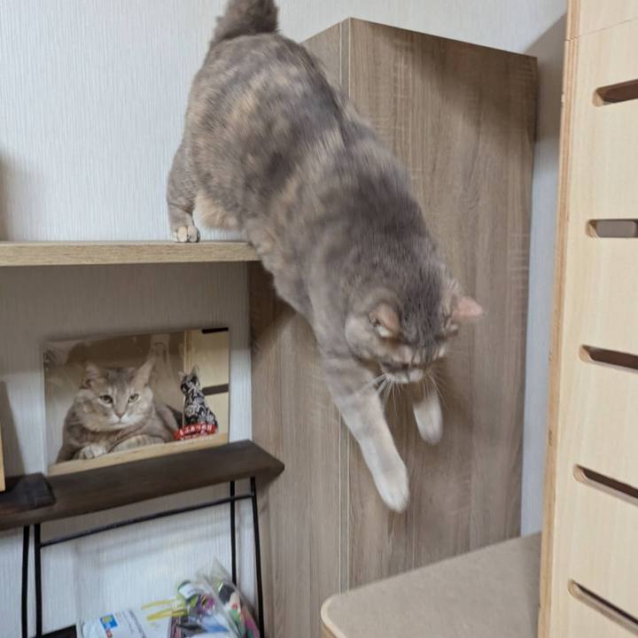 6d2f29d8 bec1 4456 8a44 8b2bdb32bb7a 1735293139187