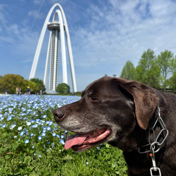 6d2f3a18 ed66 4168 a9cd 3f1b8d20cfc8 1776598983929