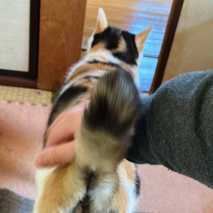 6d2f5d97 2cdf 40e8 8e0a a30319c2a871 1676252795602