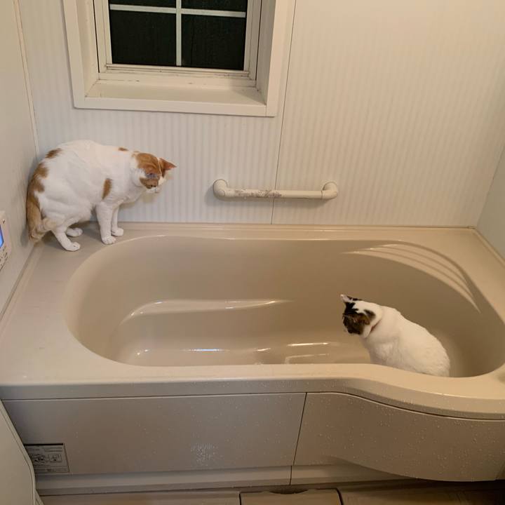 6d2fbeb2 62f6 4808 8726 3ecad21cd02d 1620141336592