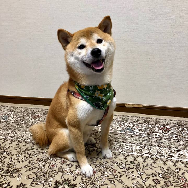 6d2fedde 6aa4 43fe a69c 1bb19f264605 1530961907173