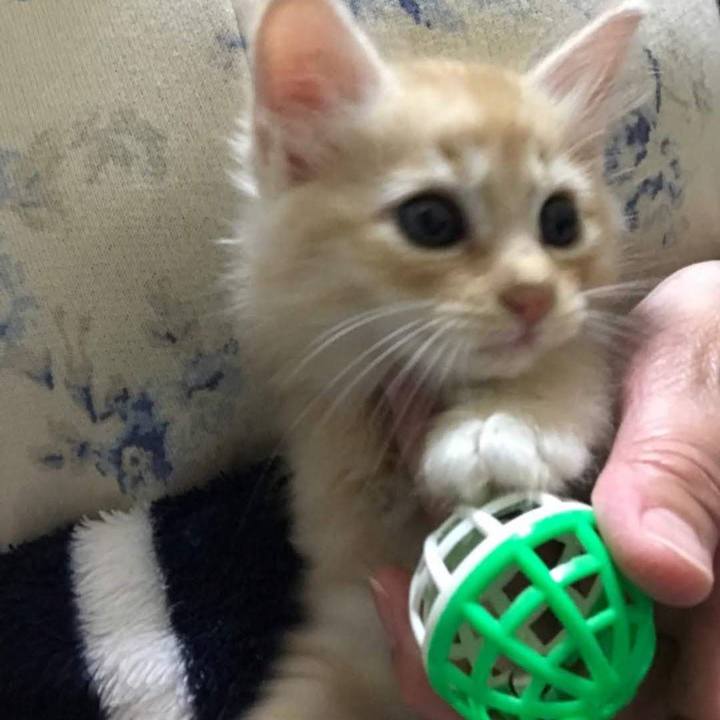 6d2ff869 4e59 48f1 a717 68d2f2476983 1619179643562