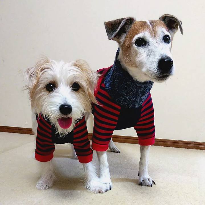 6d3006ca 54da 4a2d ac0f d77815f1f575 1540305194181