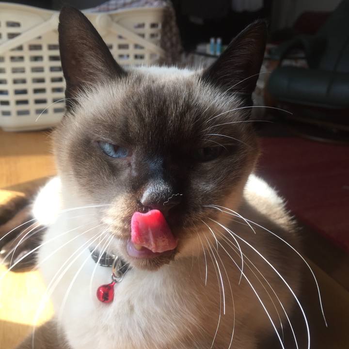 6d301e45 e90f 4c26 9d91 01e4ce7f3222 1638493567841