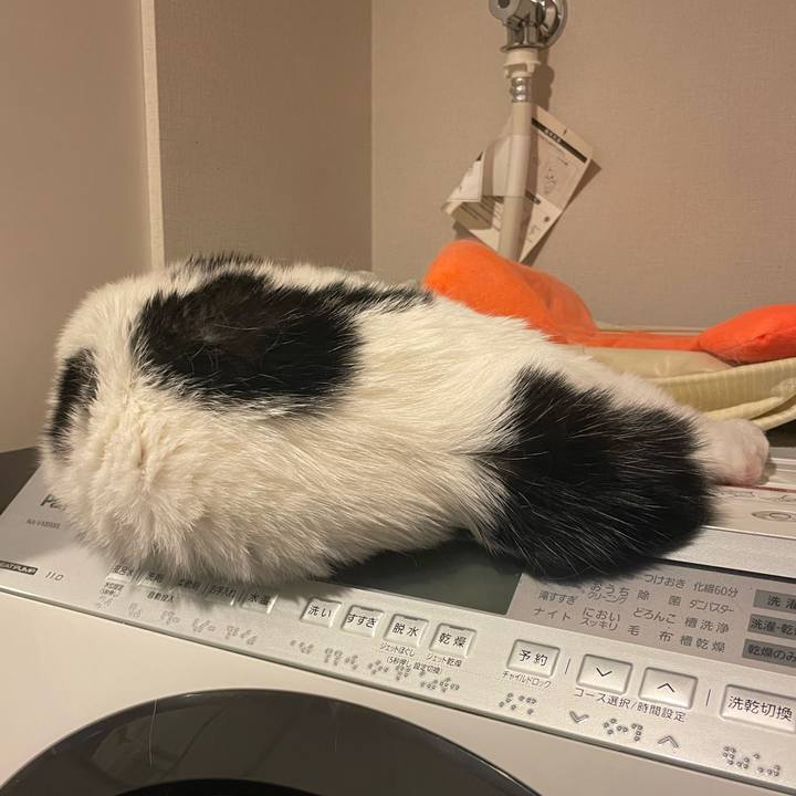 6d3023c2 a33c 4663 a6b0 b3c29c49038b 1719977471685