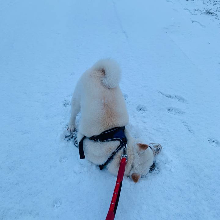 6d307aa7 d9db 40a6 971b 629fe93679db 1648761834873