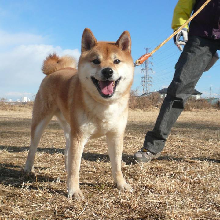 6d3091ca dff1 45ea a234 e85e8f1786b8 1614321914757