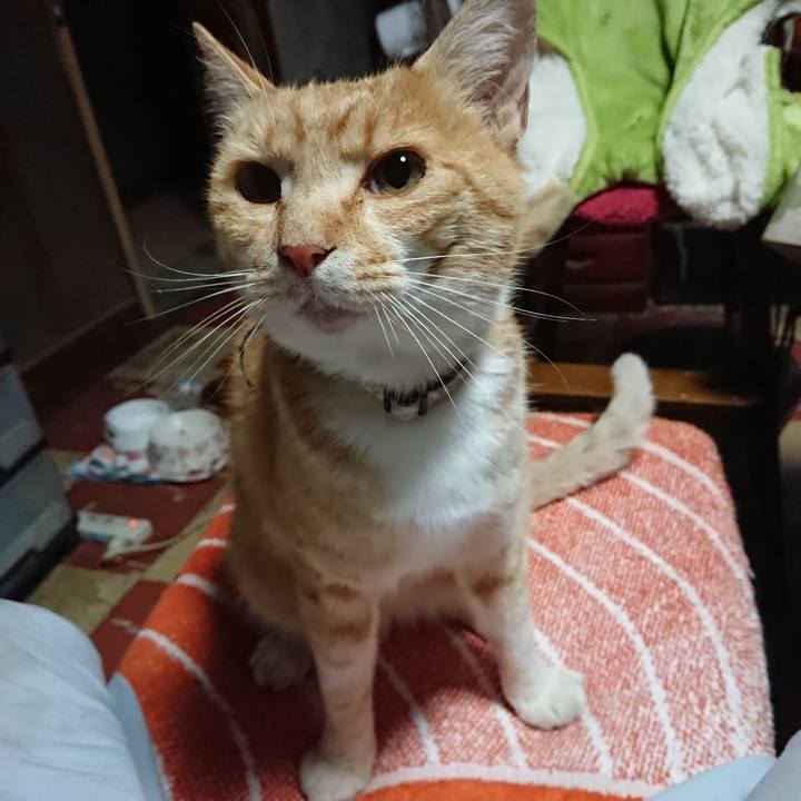 6d30a935 24e2 4de5 a663 c0786cea170d 1592075818041