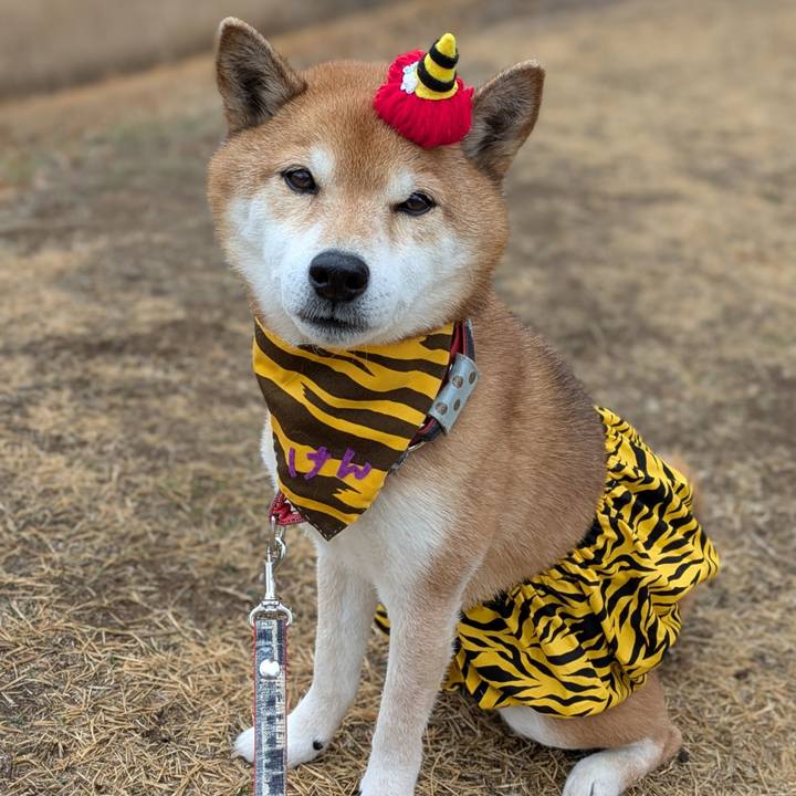 6d30b173 121a 438e 83f9 05569d834b84 1738488433282