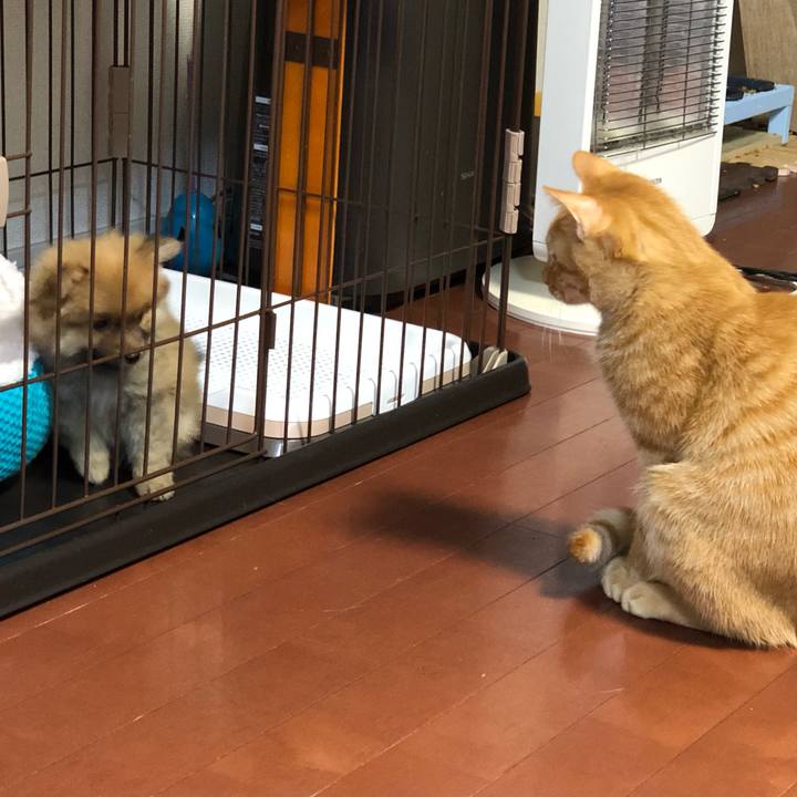 6d30bb58 bd38 4acb b00e 5c873efd1a39 1572868897310