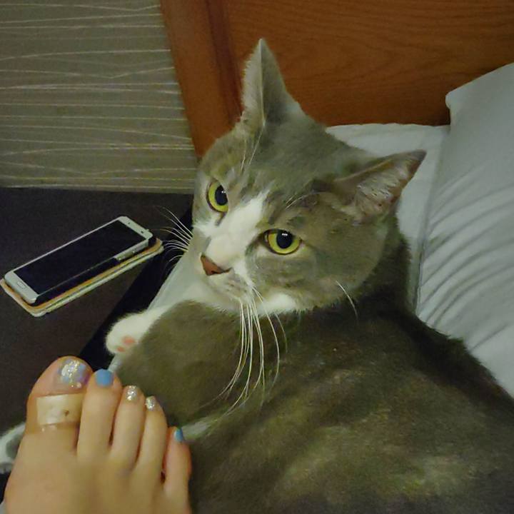 6d30f91a 9664 4fc9 9f48 c23956747a80 1660342878799