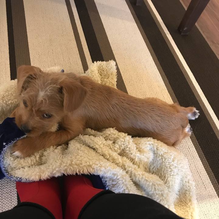 6d31758c e3a8 4f72 8737 74b7fe9bdaa4 1520224353222