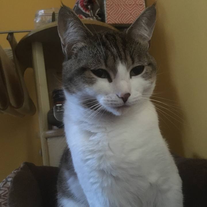 6d3178d4 da1f 48f9 a95e 406aef869b2c 1633481725548