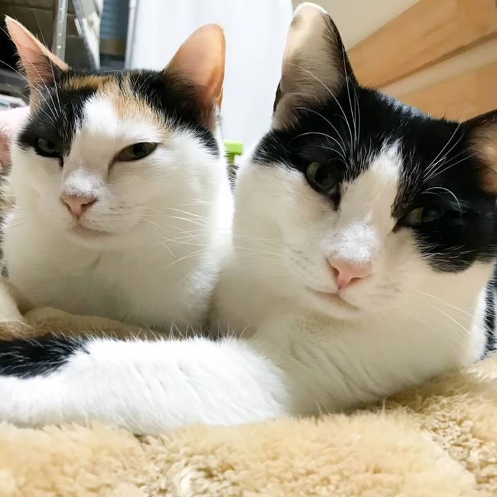 6d31aecc d049 4fbe a4db a97a9c313e8a 1514472705851