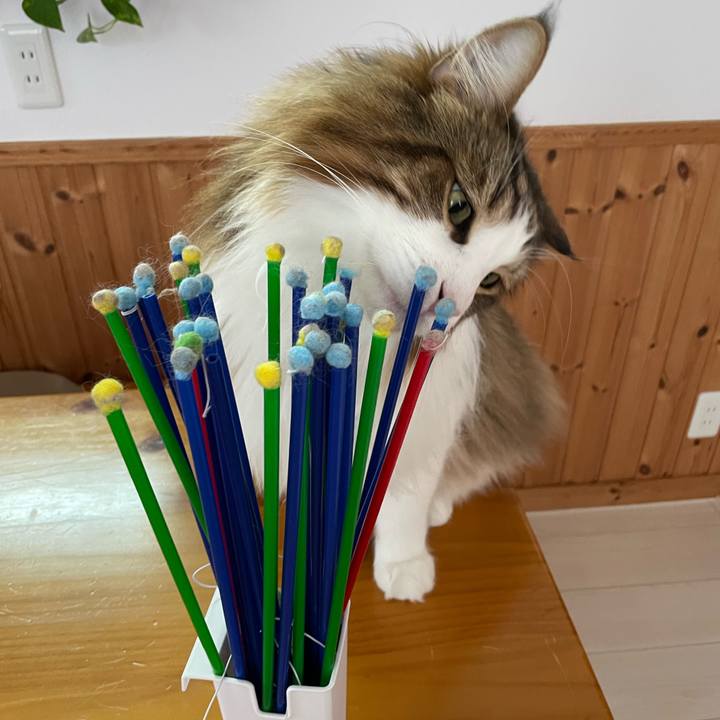 6d31f226 8a58 4d59 8af0 733ef4890691 1717288998704