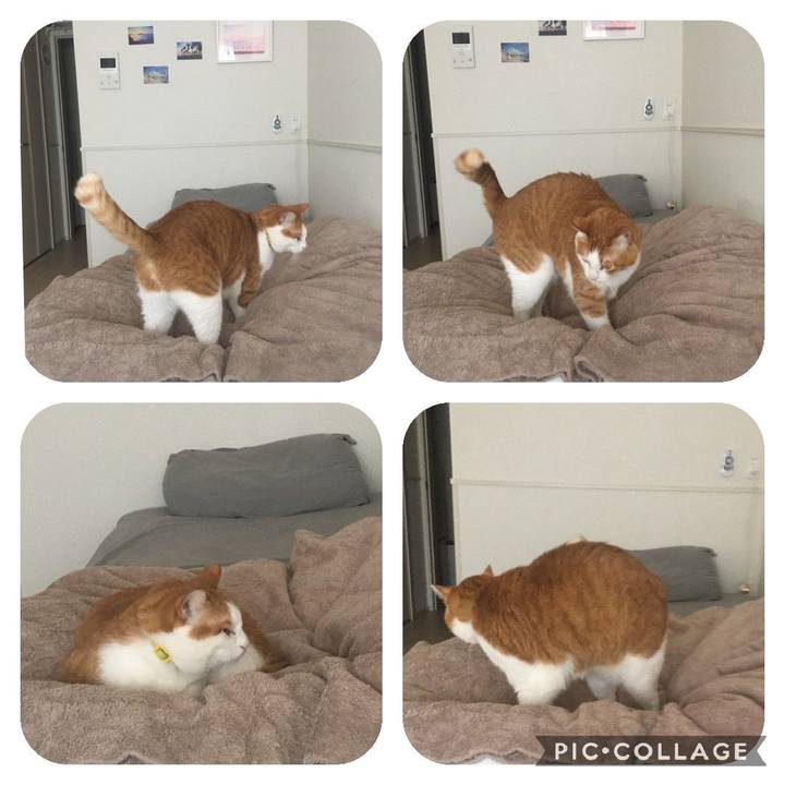 6d320f40 139e 42e4 abb2 db31a1832409 1590725814559