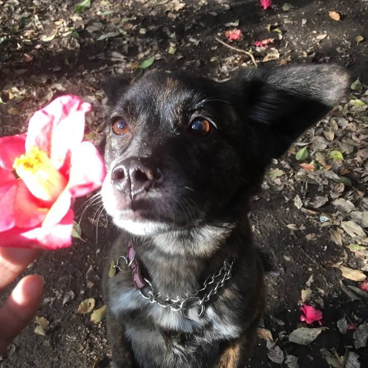 6d320fb1 80a1 47a9 876a bacaa7f5fbcb 1522416814721