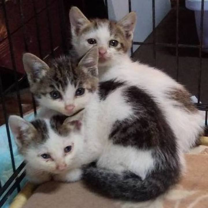 6d323627 4a11 4d72 bcc0 5774a2b1a431 1631356928049