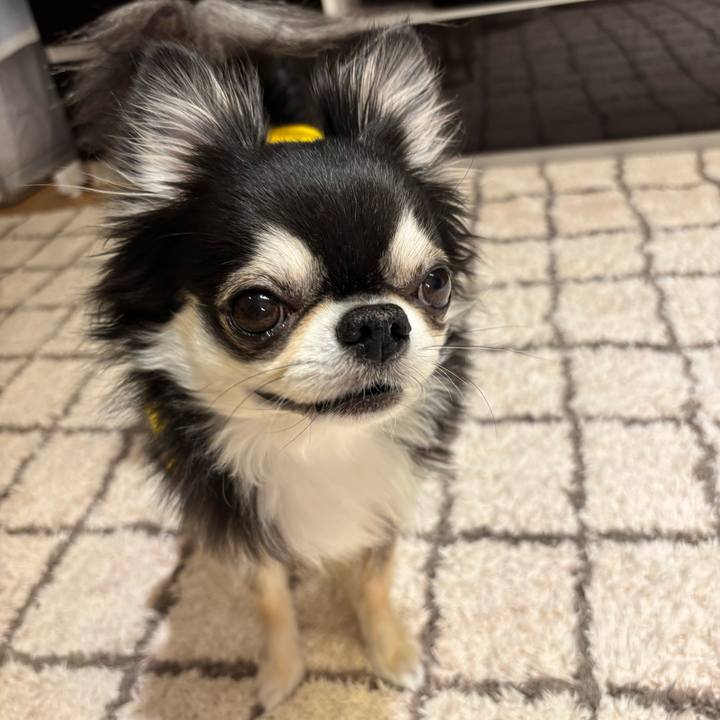 6d329488 5eac 4f5c 89dc bbf3c915fdd3 1743265983366