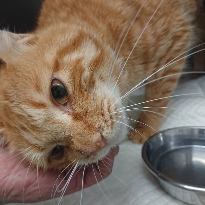 6d329a4c e648 4fe8 a6d7 c678d0fb48c8 1653555748107