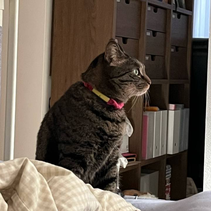 6d32b341 9597 445a ac8e c627a7e1b298 1769497575092