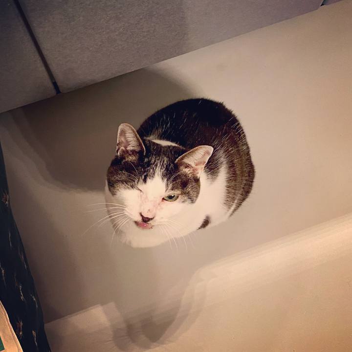 6d330c4a db1e 413a 8cc7 6237adaa4784 1584457126573