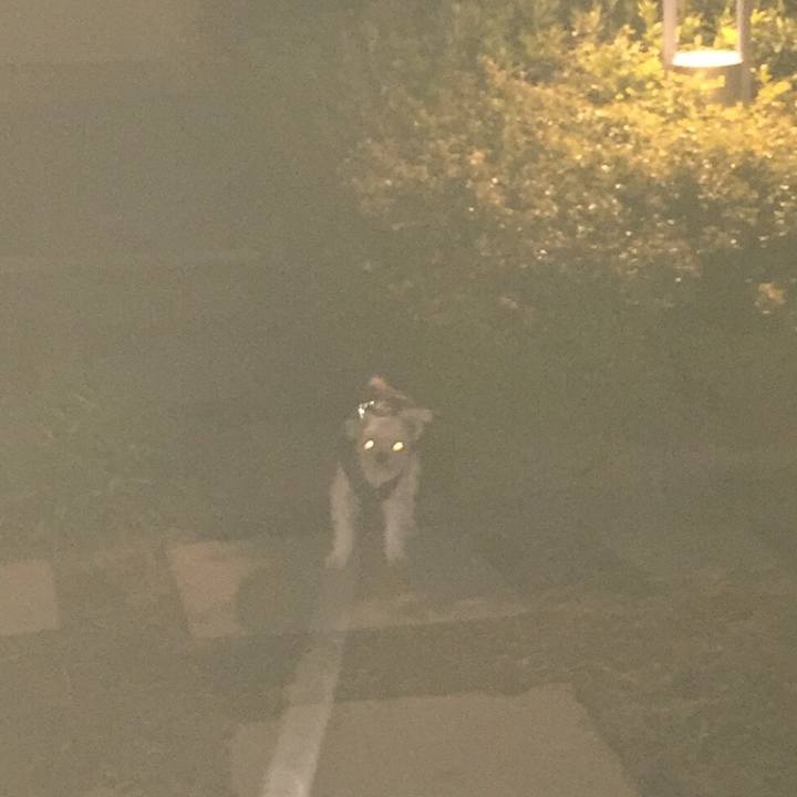 6d332b16 9df8 4f44 857b bf0c8808c8ce 1547638835992