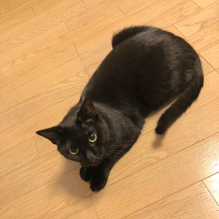 6d332f7c 16c3 44f4 9099 ee5f5f1c786b 1516619477411