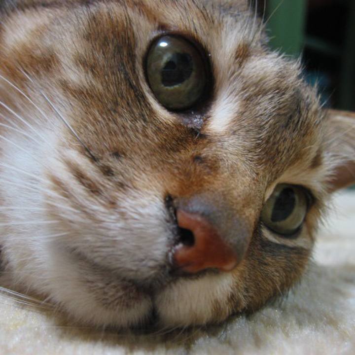 6d332fc2 7b42 49fa 8117 cadd4e002889 1550797680578