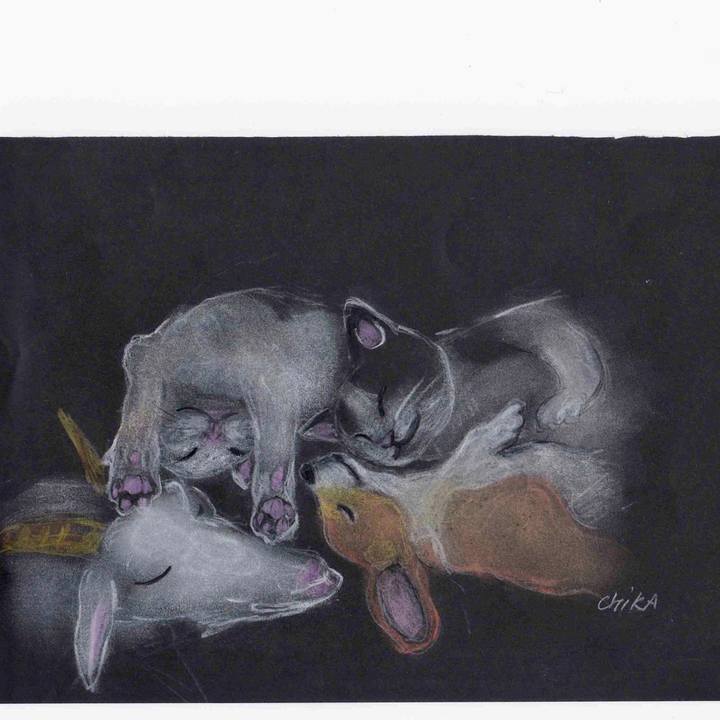 6d3354b6 aa95 4cf9 bbe2 700d55284527 1592291706318