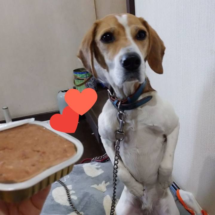 6d335f1a 14bc 42e2 9859 2a04f7111848 1611731999641